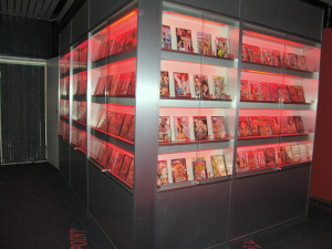 Multi-Video-Show